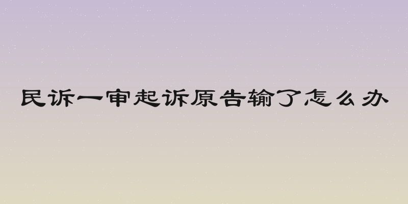 民诉一审起诉原告输了怎么办
