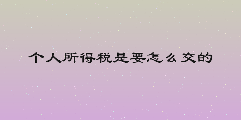 个人所得税是要怎么交的