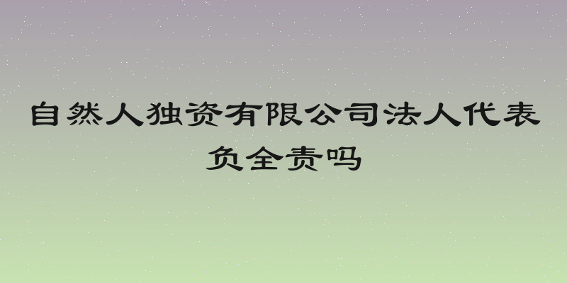 自然人独资有限公司法人代表负全责吗