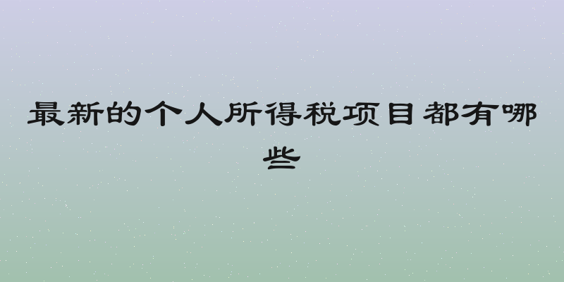 最新的个人所得税项目都有哪些