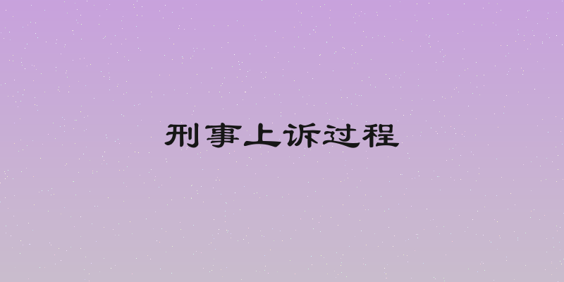 刑事上诉过程