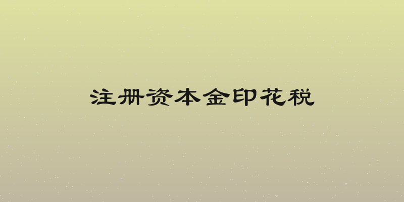 注册资本金印花税