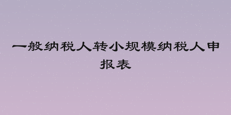 一般纳税人转小规模纳税人申报表