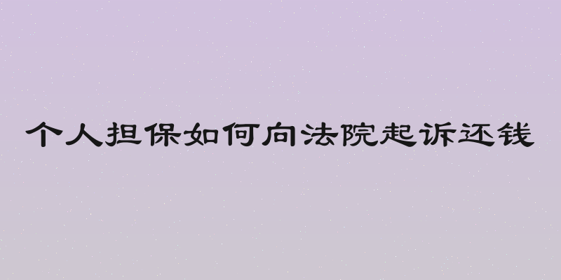 个人担保如何向法院起诉还钱