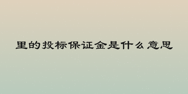 里的投标保证金是什么意思