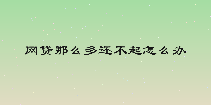 网贷那么多还不起怎么办