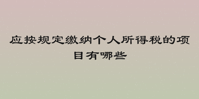 应按规定缴纳个人所得税的项目有哪些