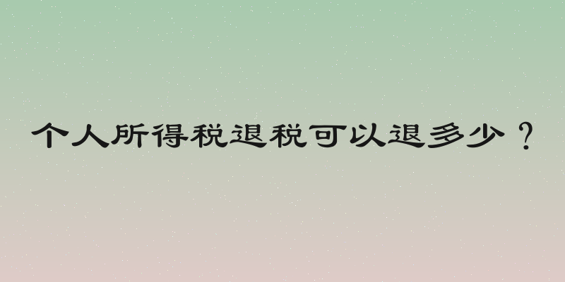 个人所得税退税可以退多少？
