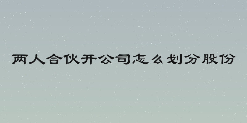 两人合伙开公司怎么划分股份