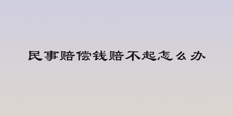 民事赔偿钱赔不起怎么办