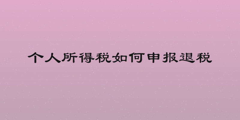个人所得税如何申报退税