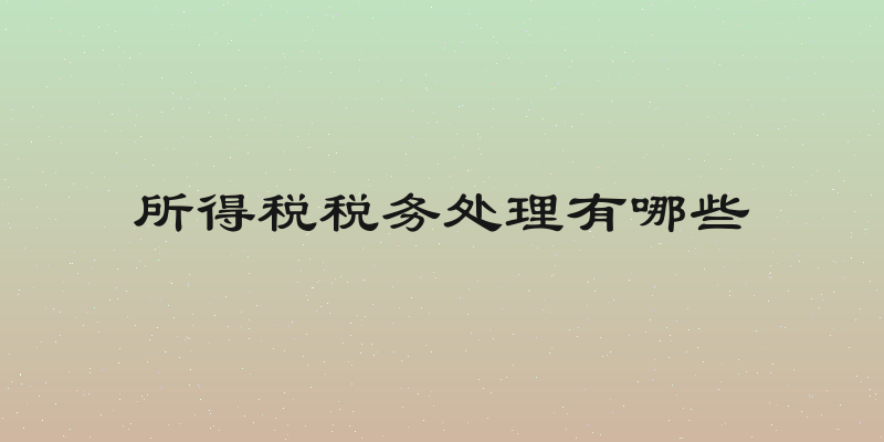 所得税税务处理有哪些