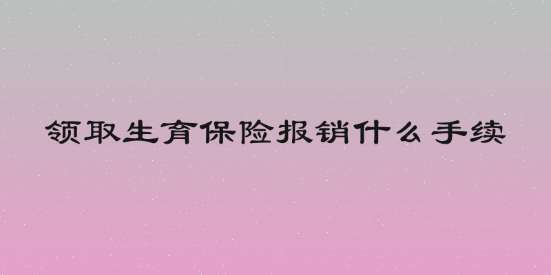 领取生育保险报销什么手续