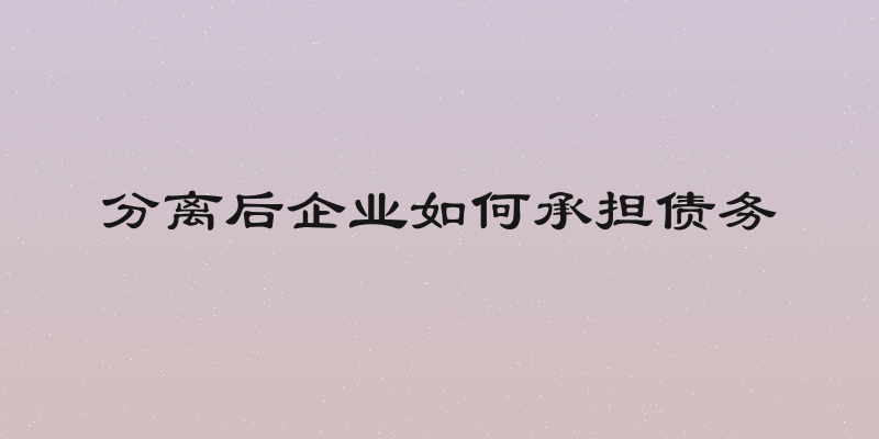 分离后企业如何承担债务