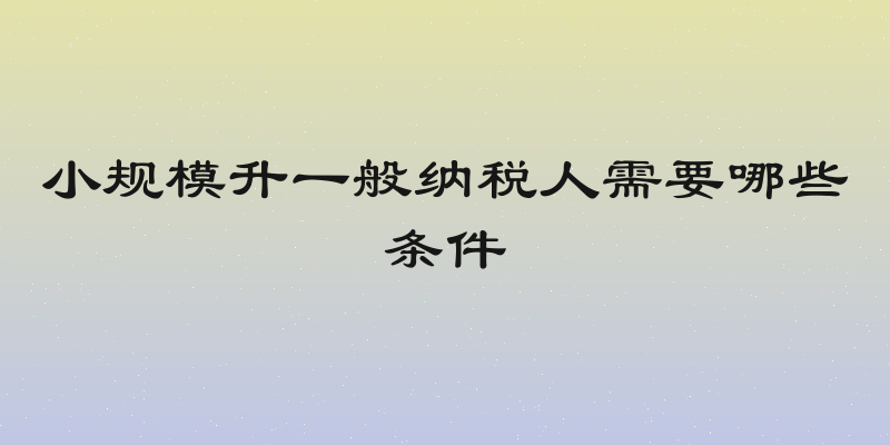 小规模升一般纳税人需要哪些条件