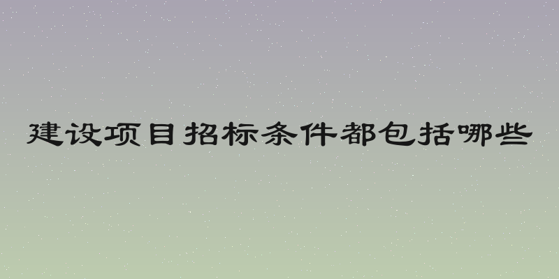 建设项目招标条件都包括哪些