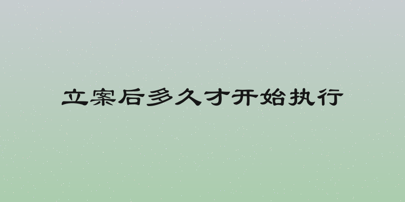 立案后多久才开始执行