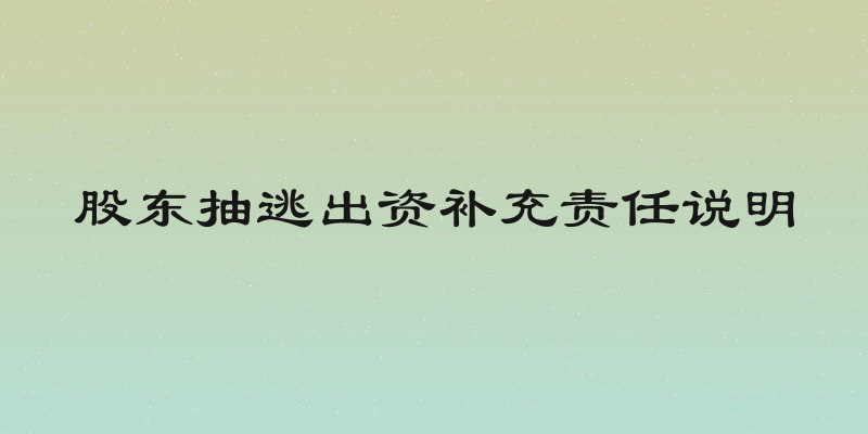 股东抽逃出资补充责任说明