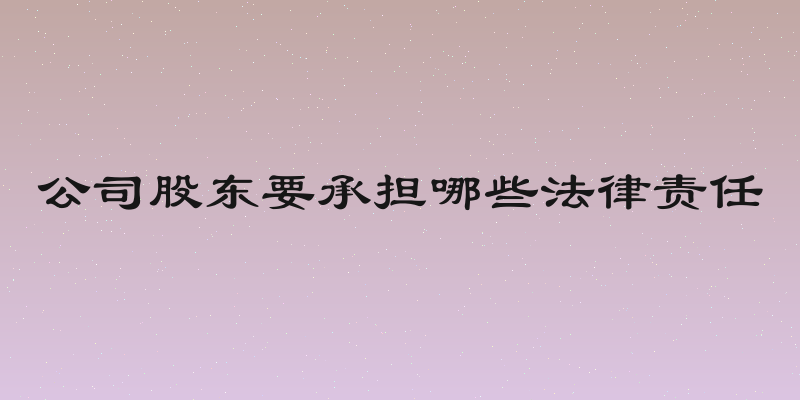 公司股东要承担哪些法律责任