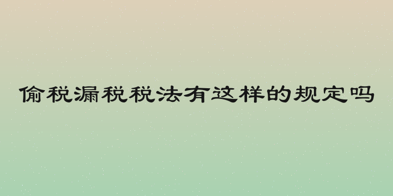 偷税漏税税法有这样的规定吗