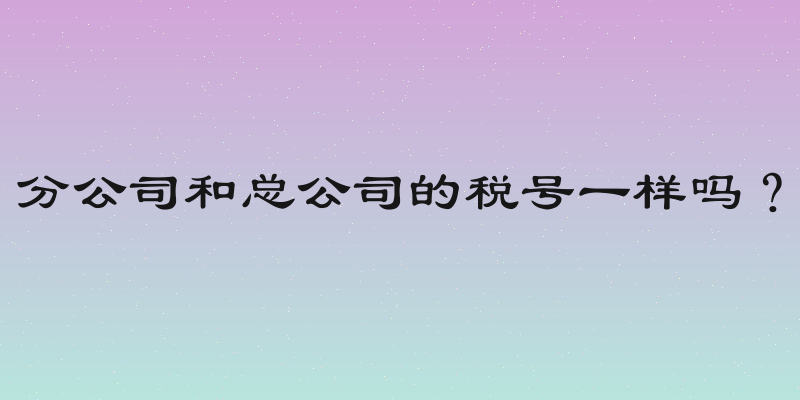 分公司和总公司的税号一样吗？