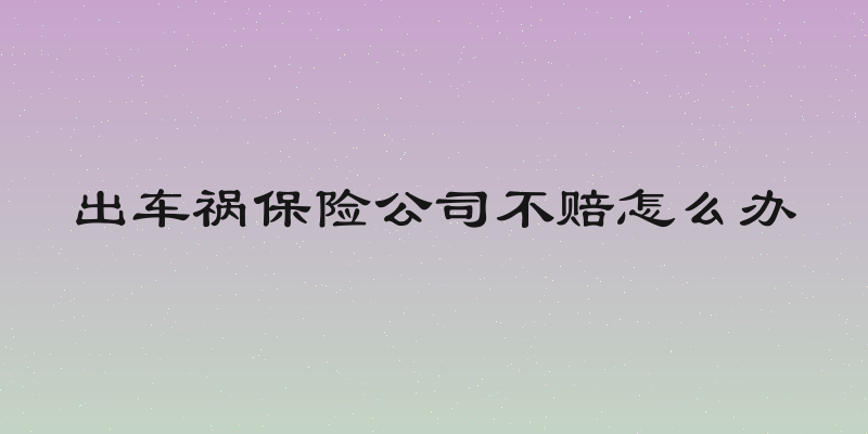 出车祸保险公司不赔怎么办