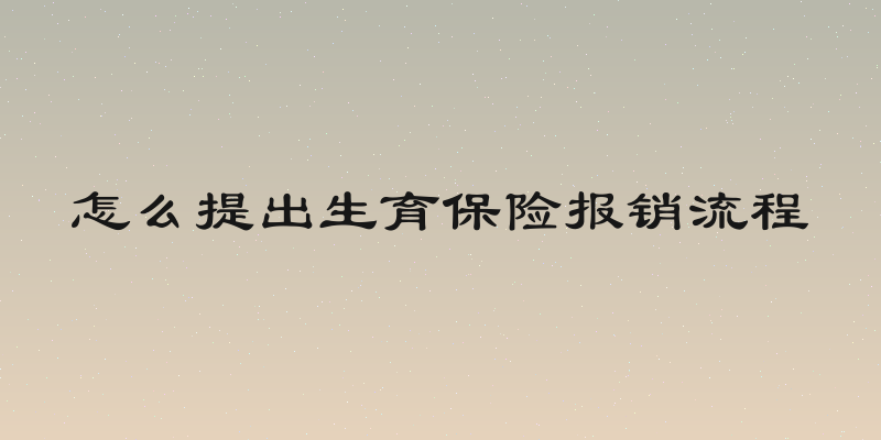 怎么提出生育保险报销流程