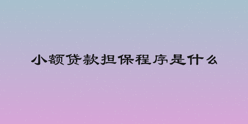 小额贷款担保程序是什么