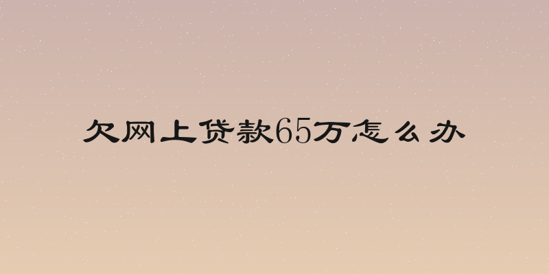 欠网上贷款65万怎么办
