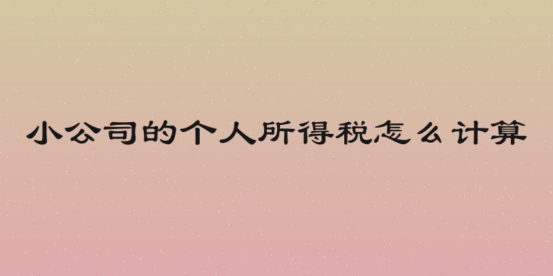 小公司的个人所得税怎么计算