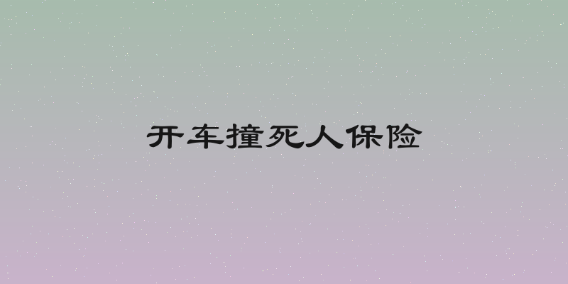 开车撞死人保险