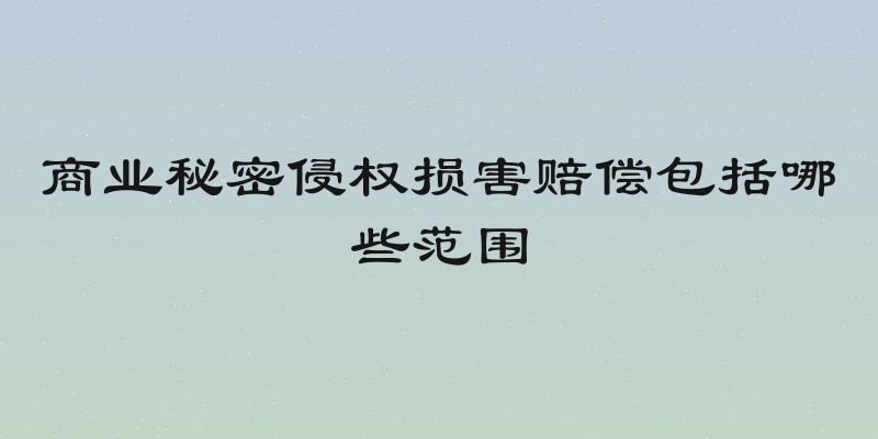 商业秘密侵权损害赔偿包括哪些范围
