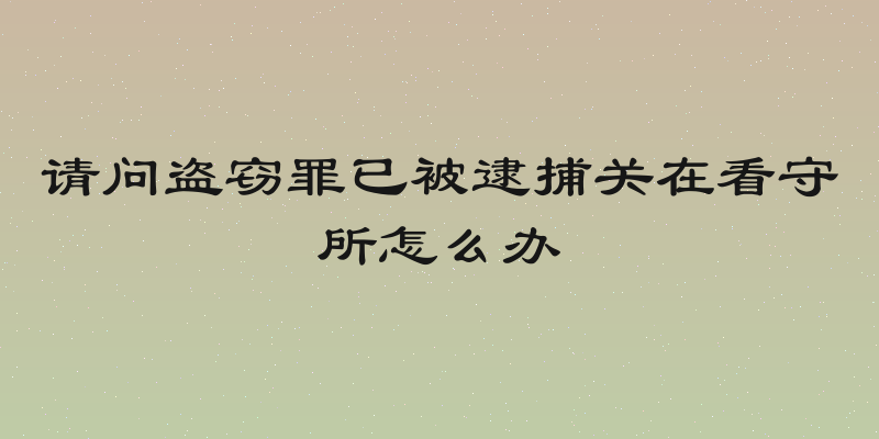 请问盗窃罪已被逮捕关在看守所怎么办