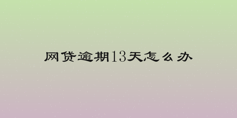 网贷逾期13天怎么办