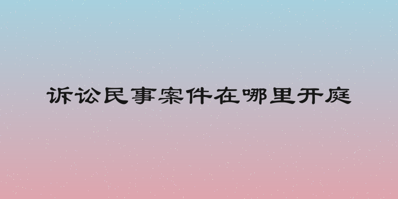 诉讼民事案件在哪里开庭