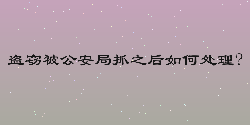 盗窃被公安局抓之后如何处理?
