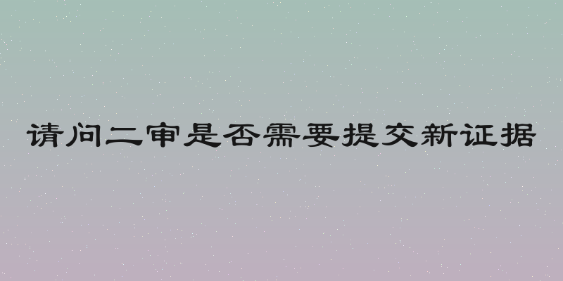请问二审是否需要提交新证据