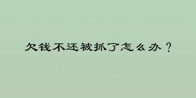 欠钱不还被抓了怎么办？