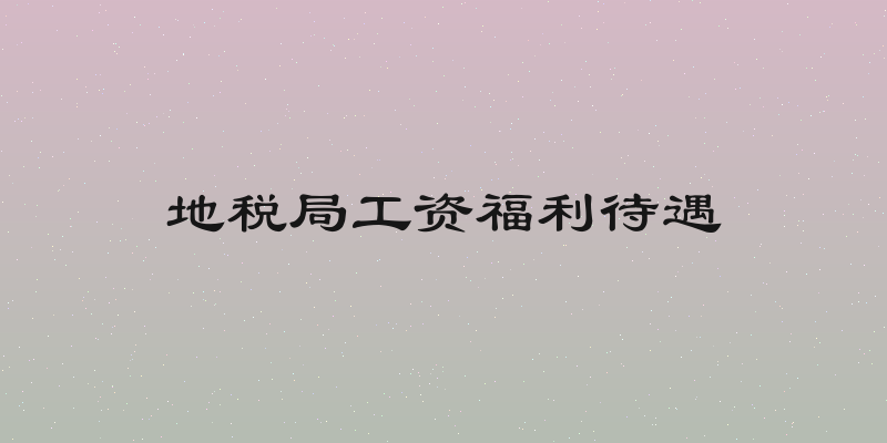 地税局工资福利待遇