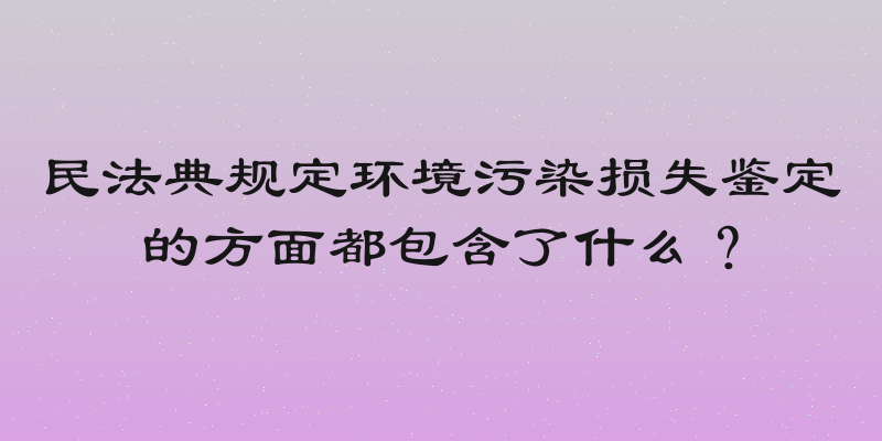 民法典规定环境污染损失鉴定的方面都包含了什么？