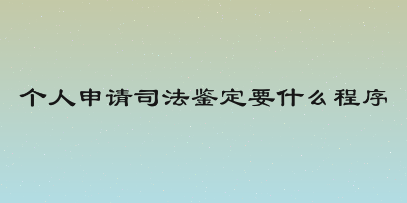 个人申请司法鉴定要什么程序