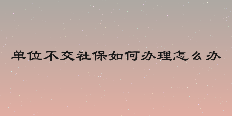 单位不交社保如何办理怎么办