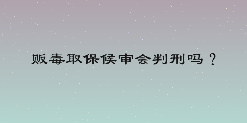 贩毒取保候审会判刑吗？