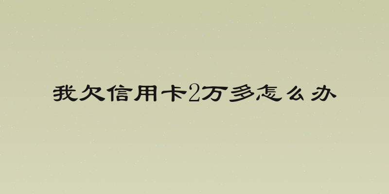 我欠信用卡2万多怎么办