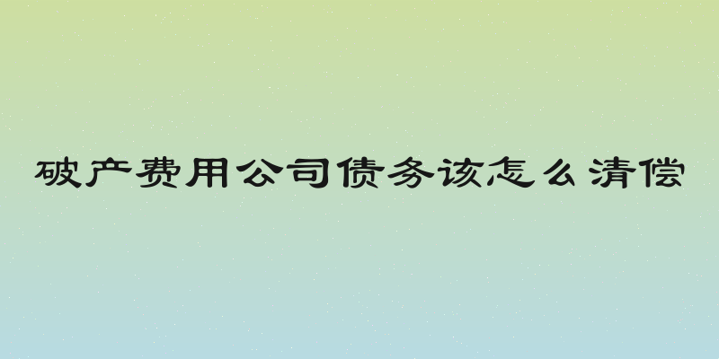 破产费用公司债务该怎么清偿
