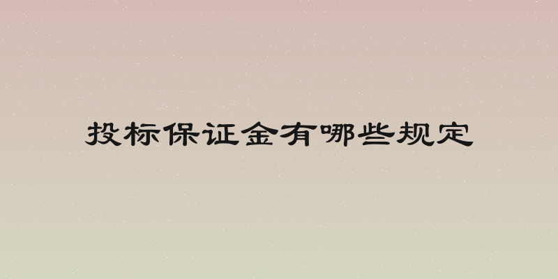 投标保证金有哪些规定