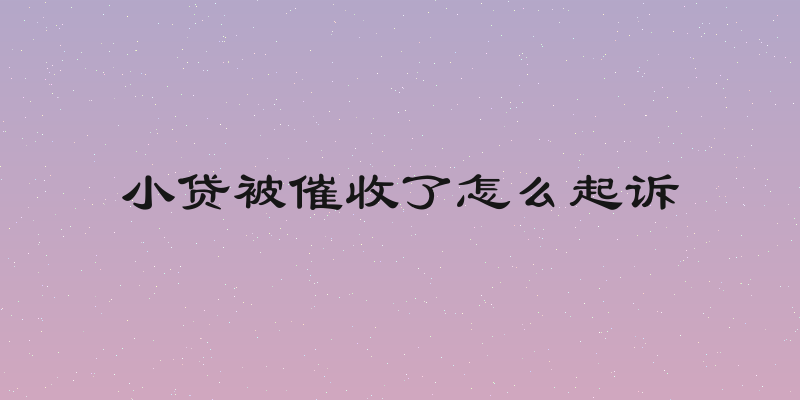 小贷被催收了怎么起诉