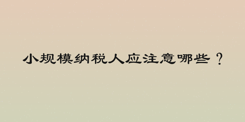 小规模纳税人应注意哪些？