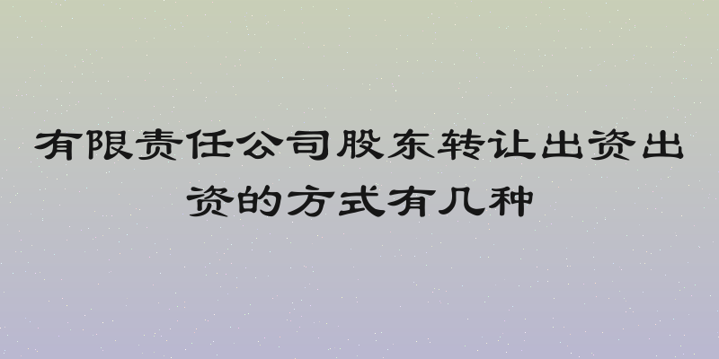 有限责任公司股东转让出资出资的方式有几种