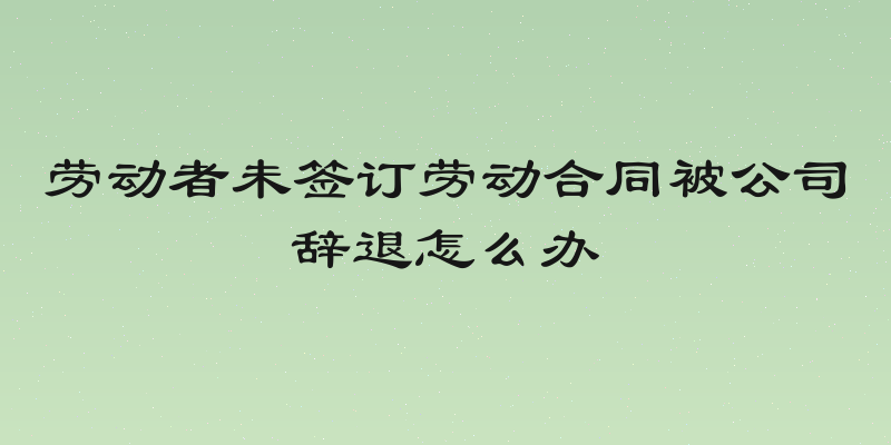 劳动者未签订劳动合同被公司辞退怎么办